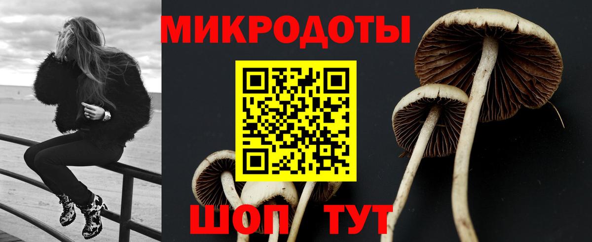 Псилоцибиновые грибы MAGIC MUSHROOMS  Вход с VPN  Родники 